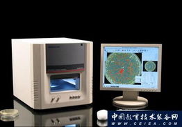 全自動菌落計數儀 杭州迅數科技引領信息技術革新